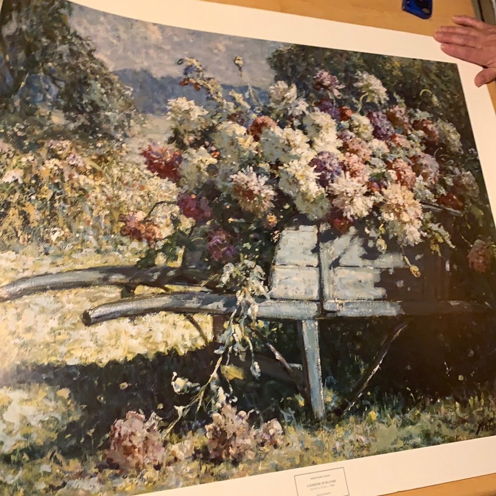 Large Print A Barrow of Blooms